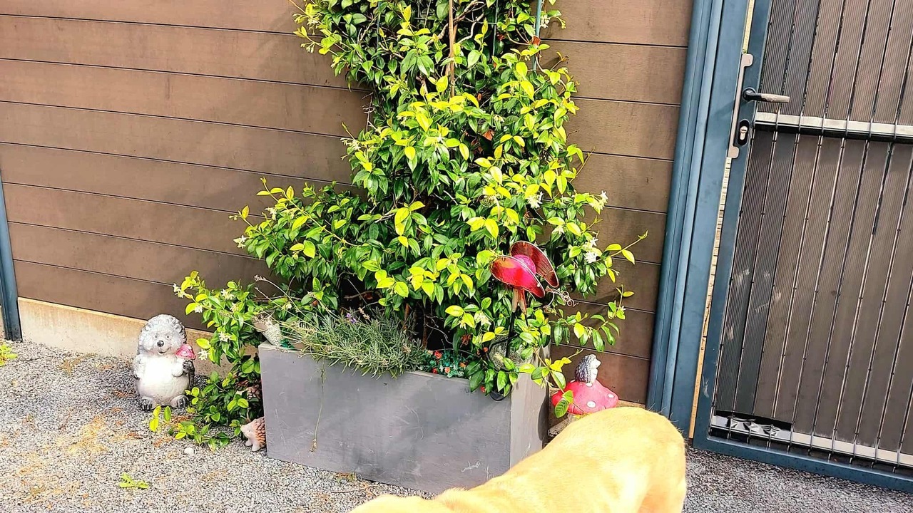 Photo of Outdoor in Mericourt