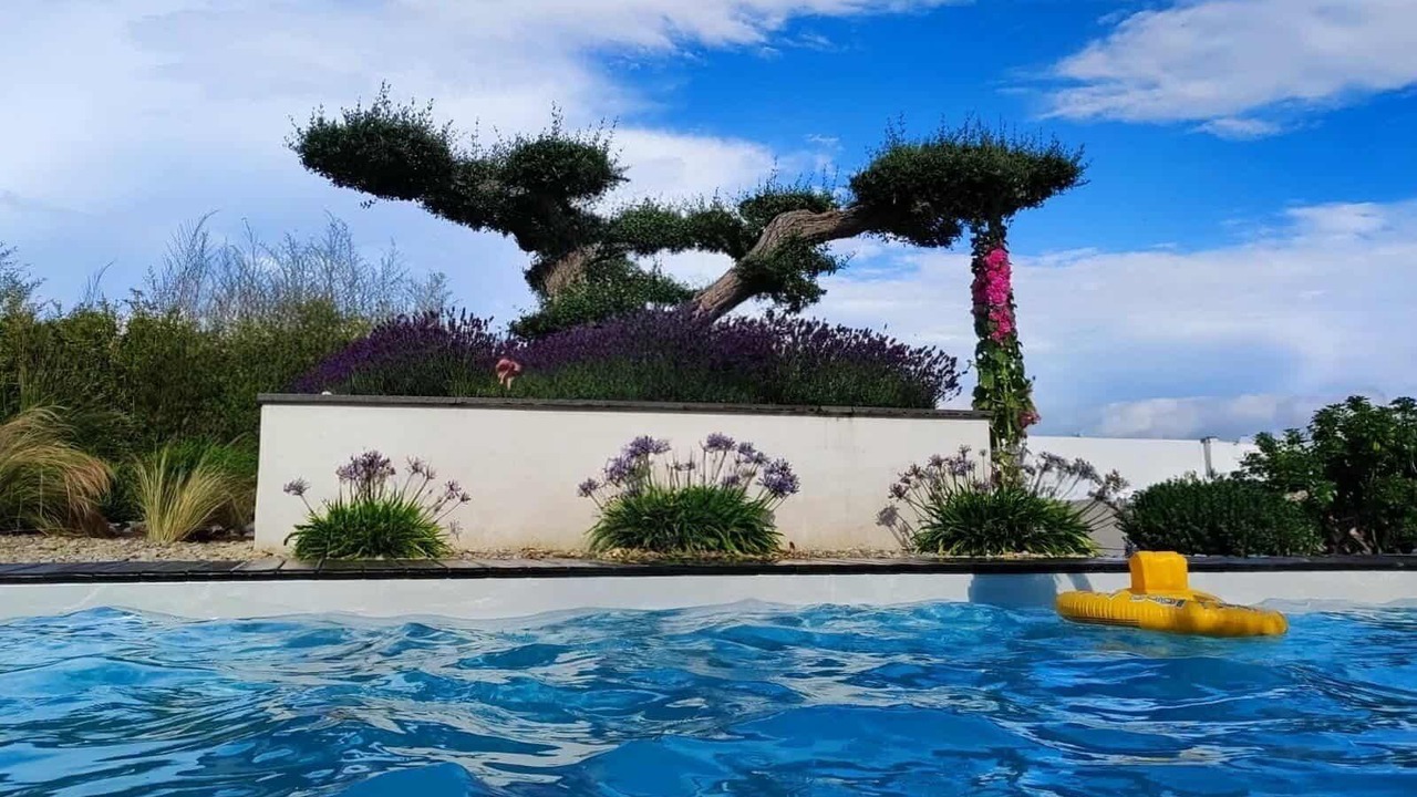 Photo of Outdoor in Graces