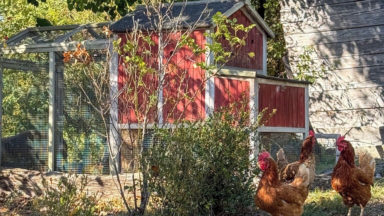 Photo of Outdoor in Saint-Leonard