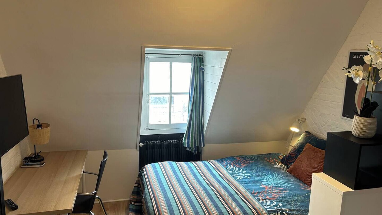 Photo of Bedroom in Roubaix