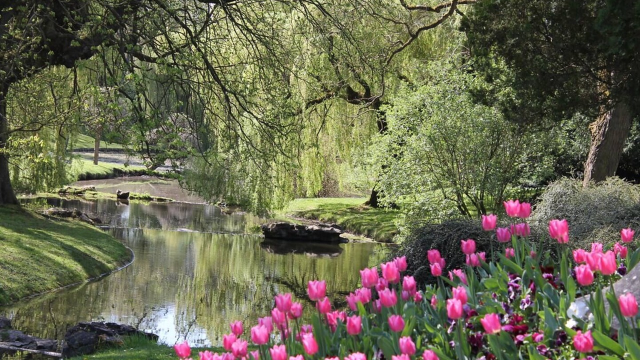 Photo of Others in Roubaix