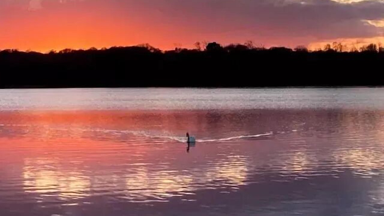 Photo of Others in Priziac