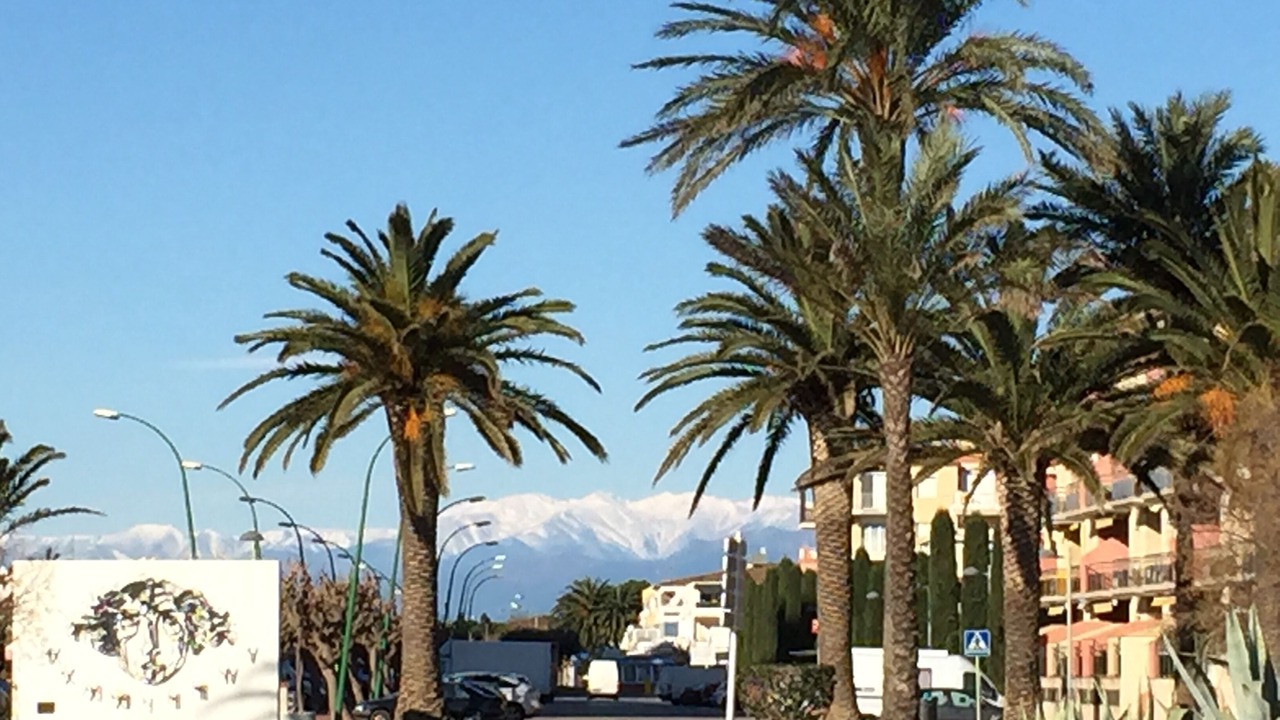 Photo of Outdoor in Empuriabrava