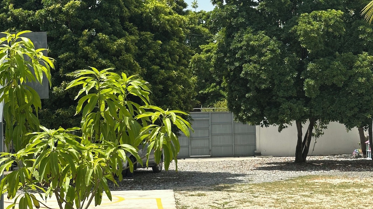 Photo of Outdoor in Las Charcas