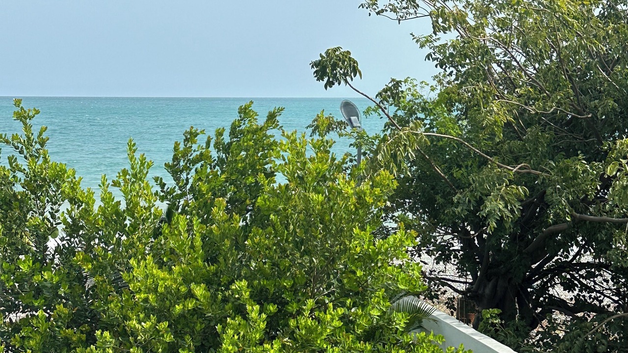 Photo of Outdoor in Las Charcas