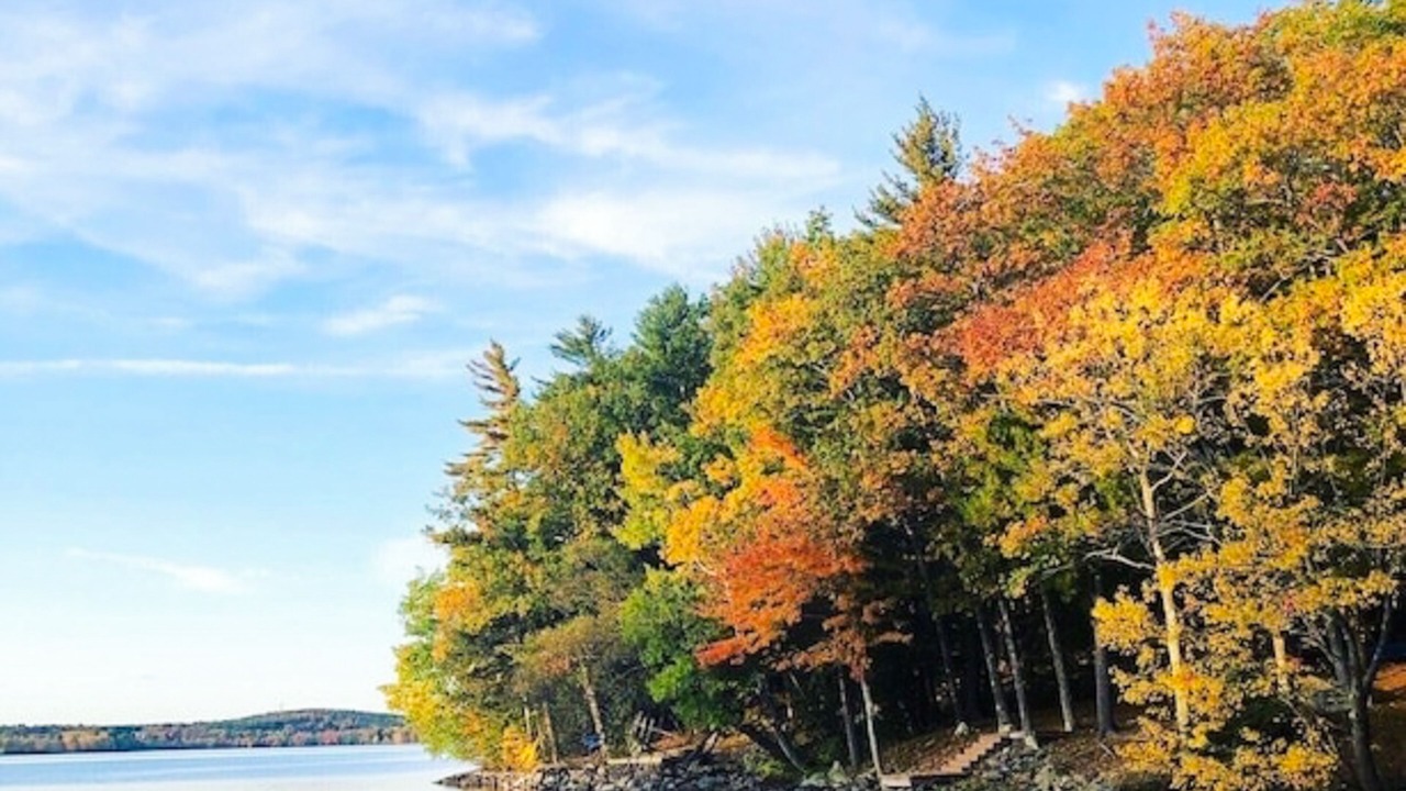 Photo of Others in Vassalboro