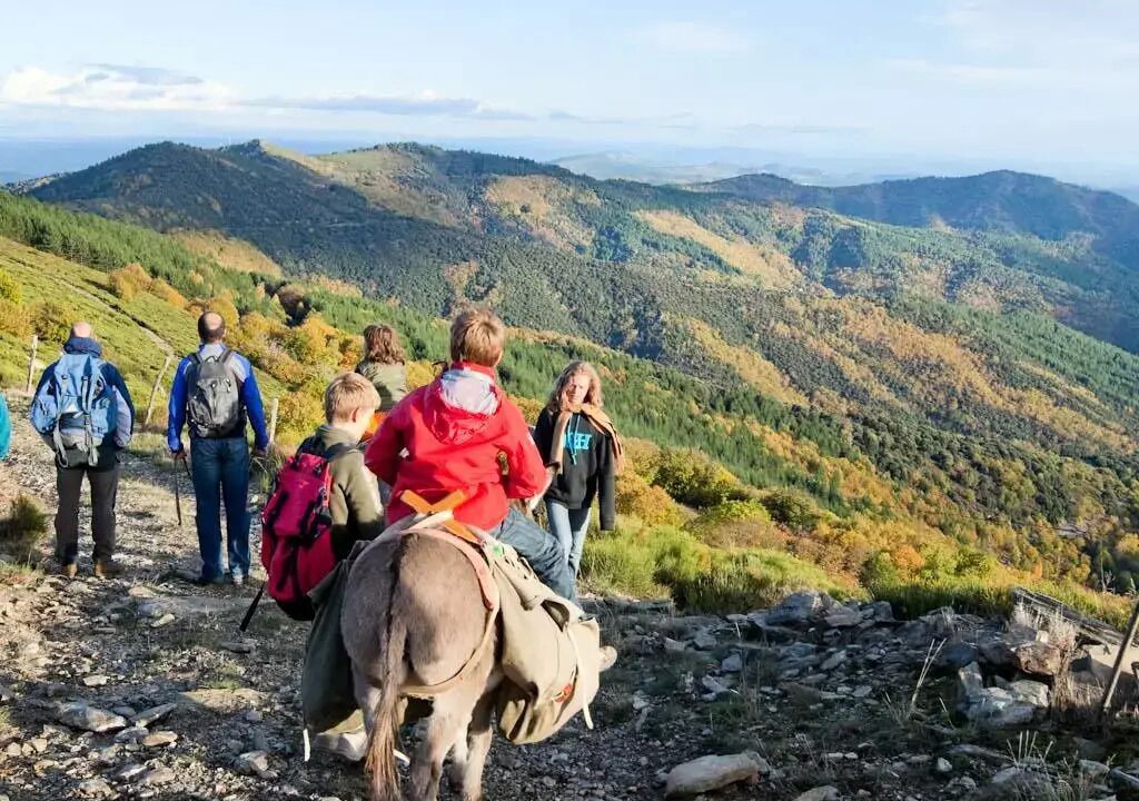 Photo of Others in Saint-Jean-du-Gard