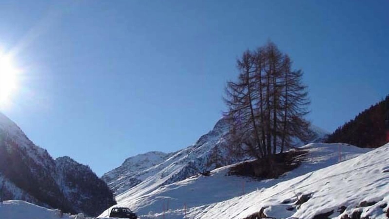 Photo of Others in Grimentz