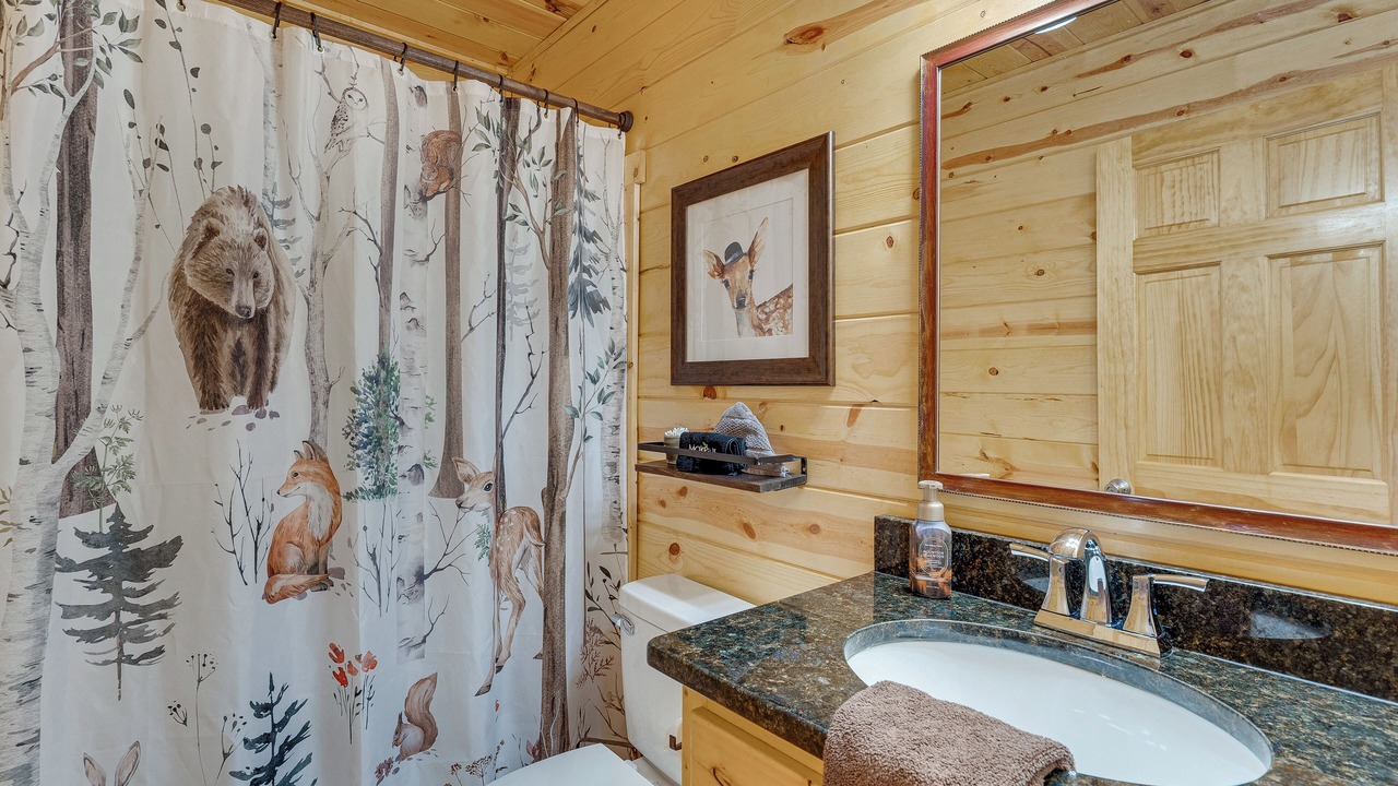Photo of Bathroom in Murphy