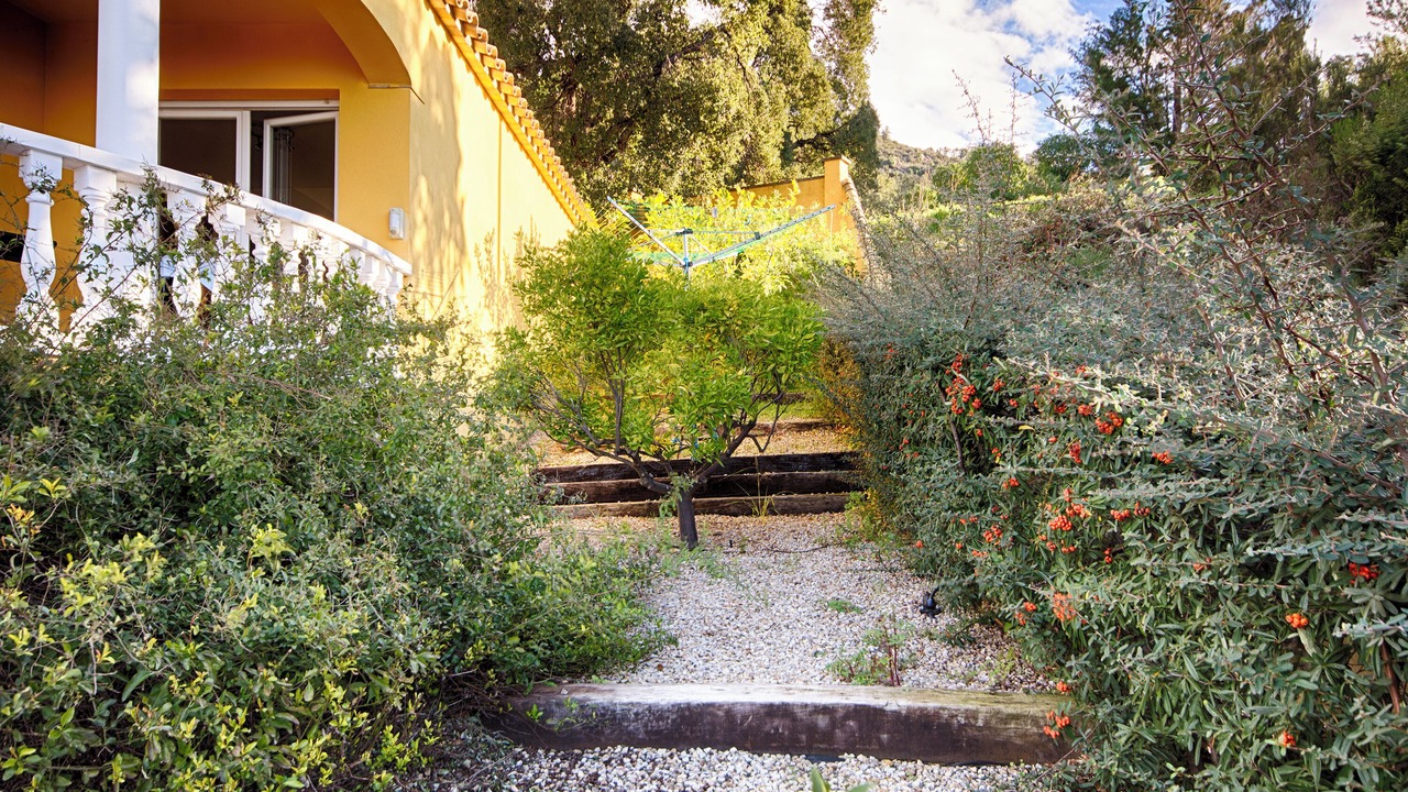 Photo of Outdoor in El Mas Isaac