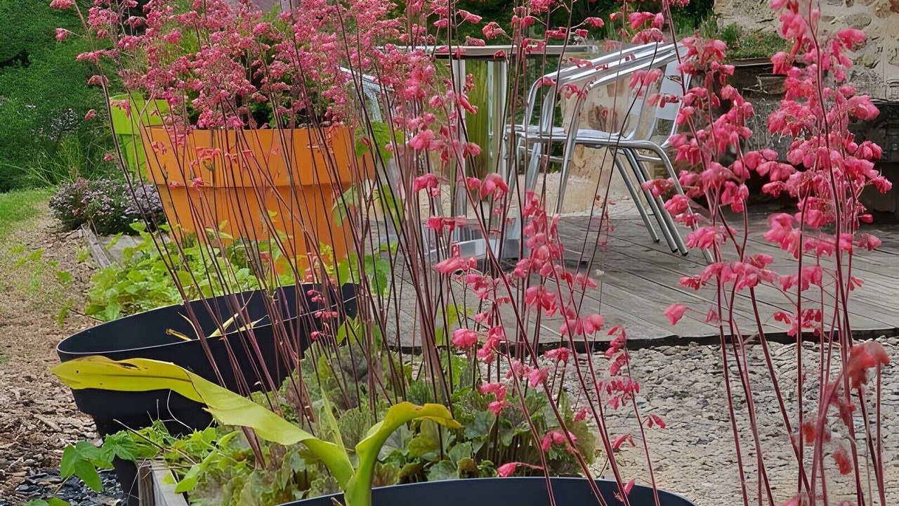 Photo of Outdoor in Cassagnes-Begonhes