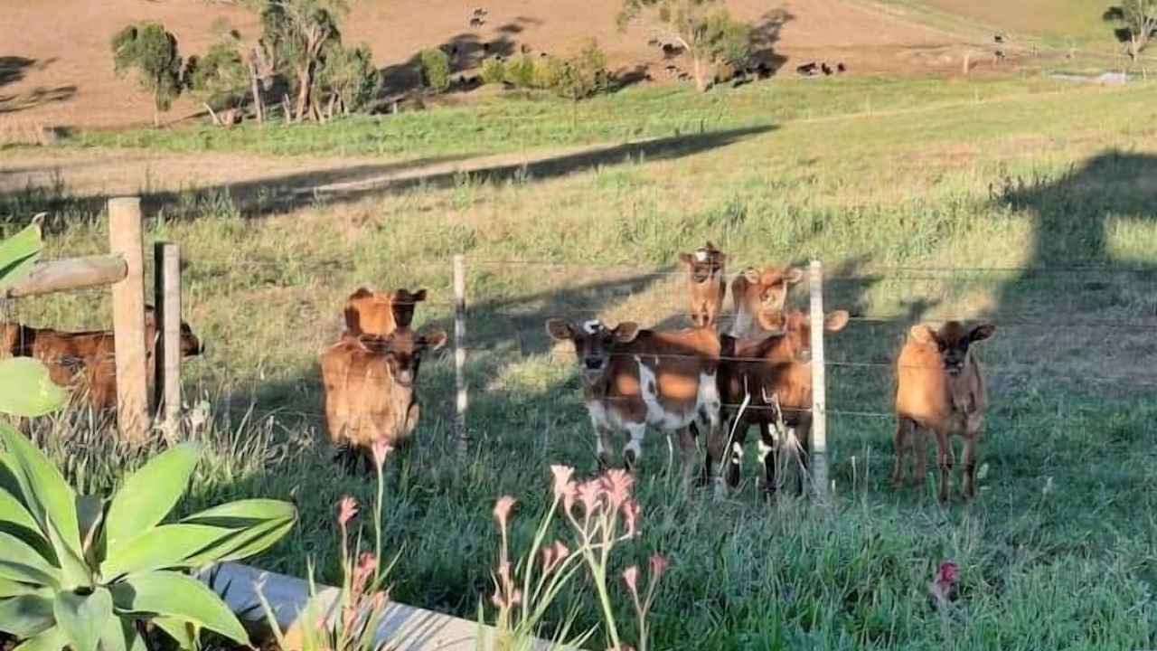 Photo of Others in Gruyere