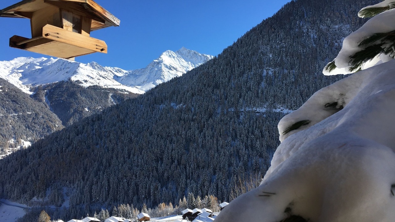 Photo of Others in Grimentz