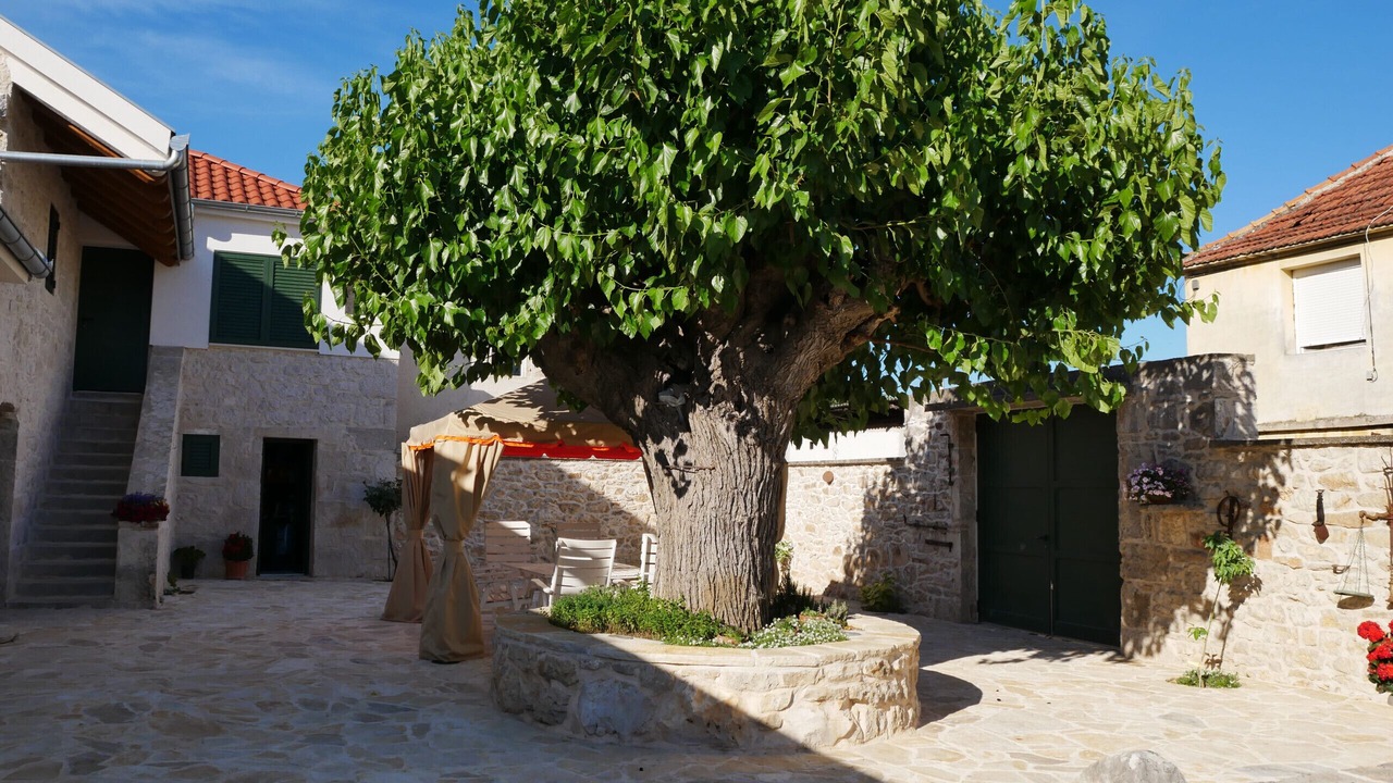 Photo of Outdoor in Benkovac