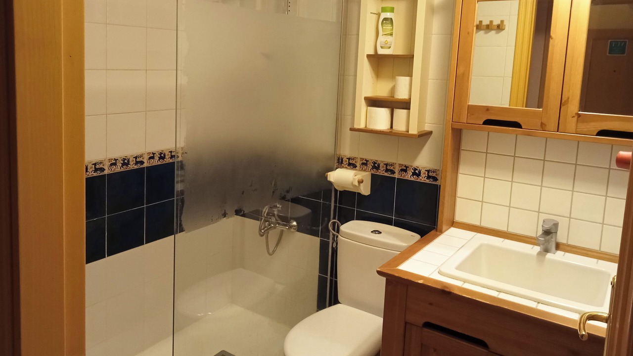 Photo of Bathroom in Biescas