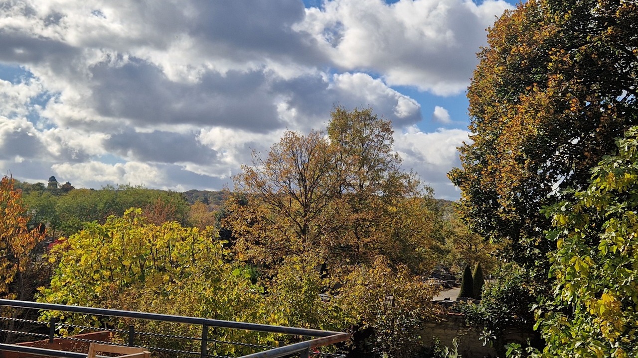 Photo of Outdoor in Issy-les-Moulineaux