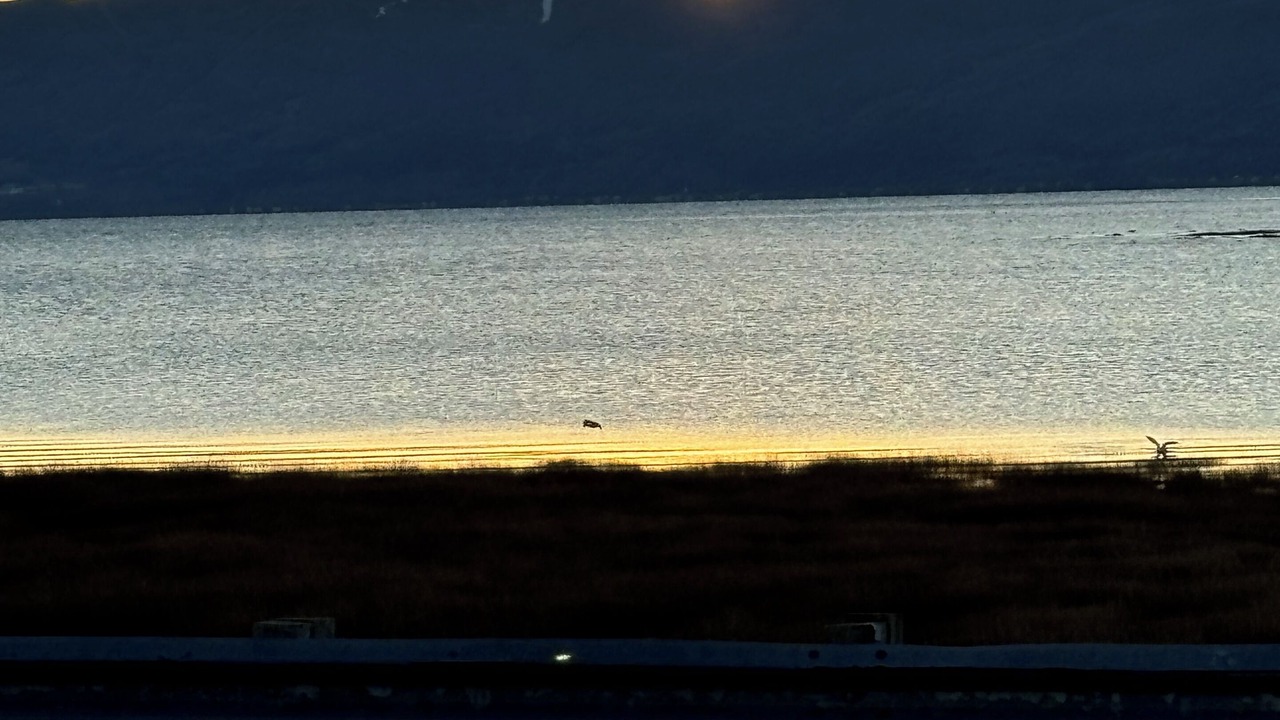 Photo of Others in Isle aux Coudres