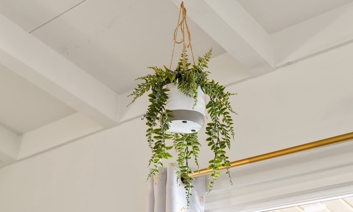 Photo of Others in East San Mateo