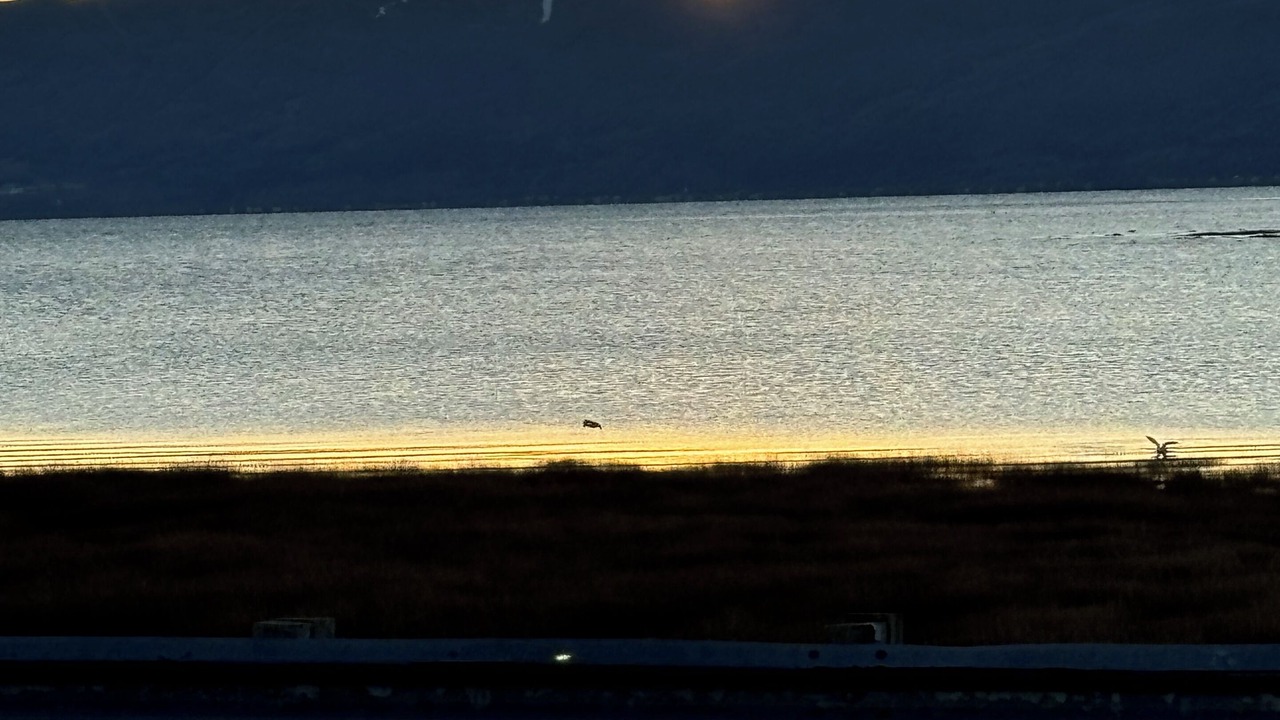 Photo of Others in Isle aux Coudres