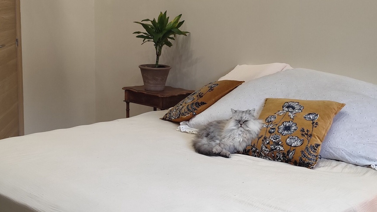 Photo of Bedroom in Mornas