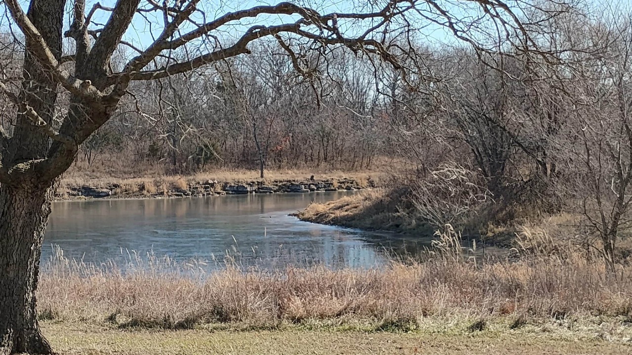 Photo of Outdoor in Pauline