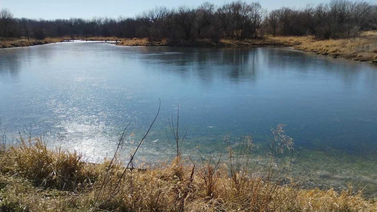 Photo of Outdoor in Pauline