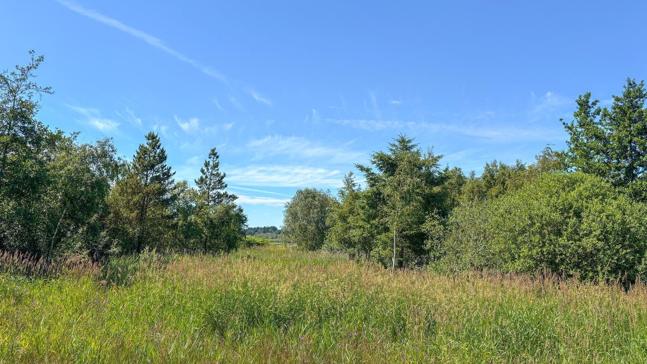 Photo of Others in Sillerslev