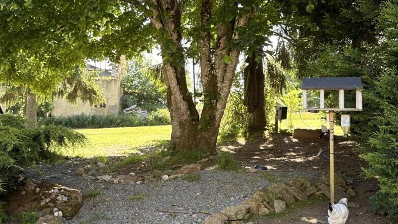 Photo of Outdoor in Saint-Palais