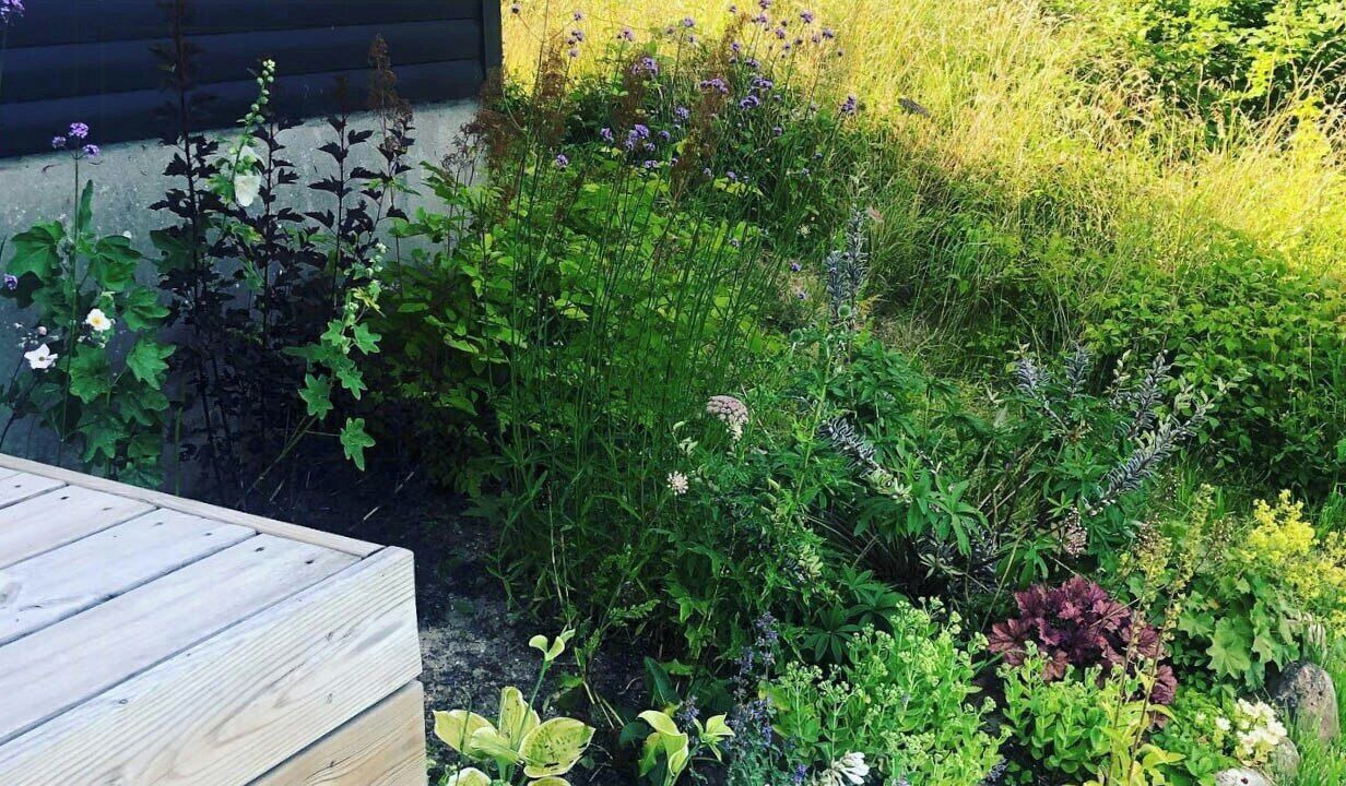 Photo of Outdoor in Holbaek