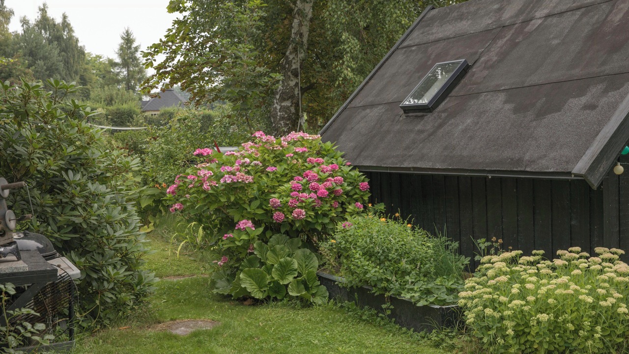 Photo of Outdoor in Melby