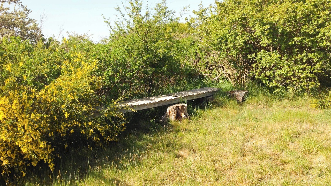 Photo of Outdoor in Holbaek