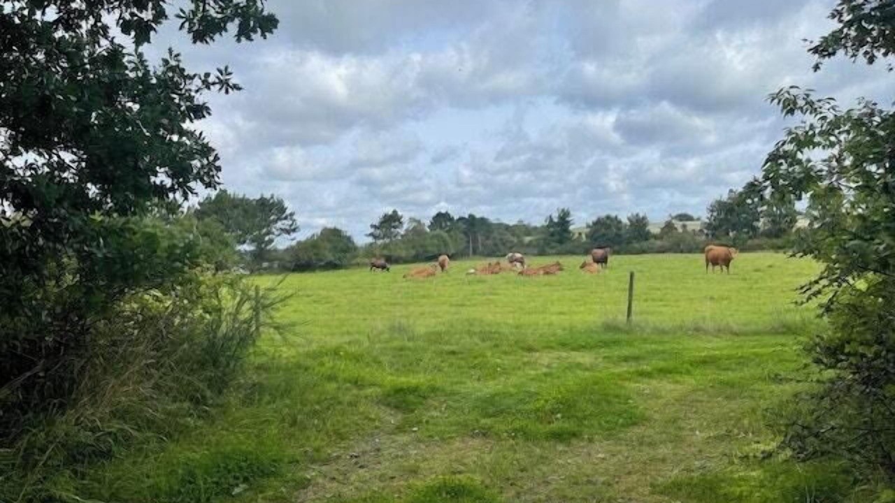 Photo of Others in Holbaek