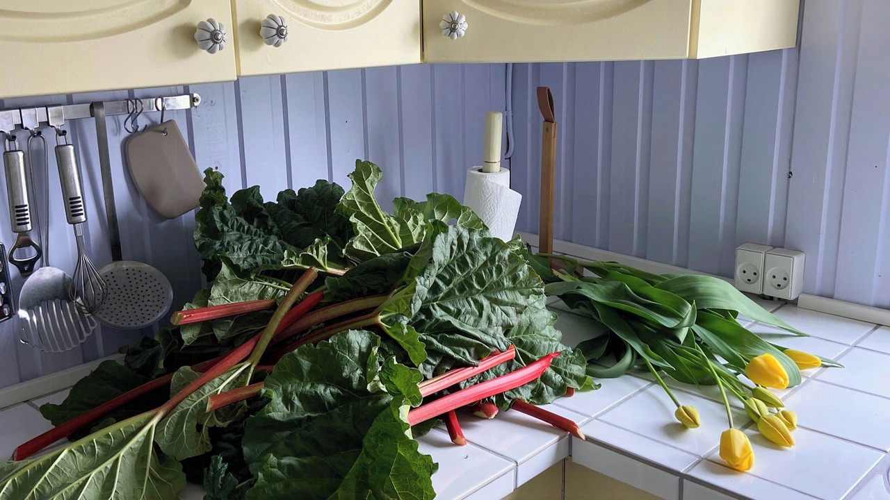 Photo of Kitchen in Skastrup Strand