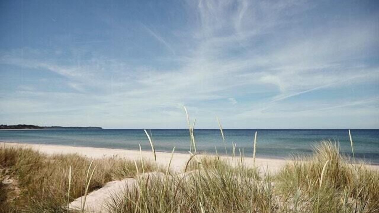 Photo of Others in Hornbaek