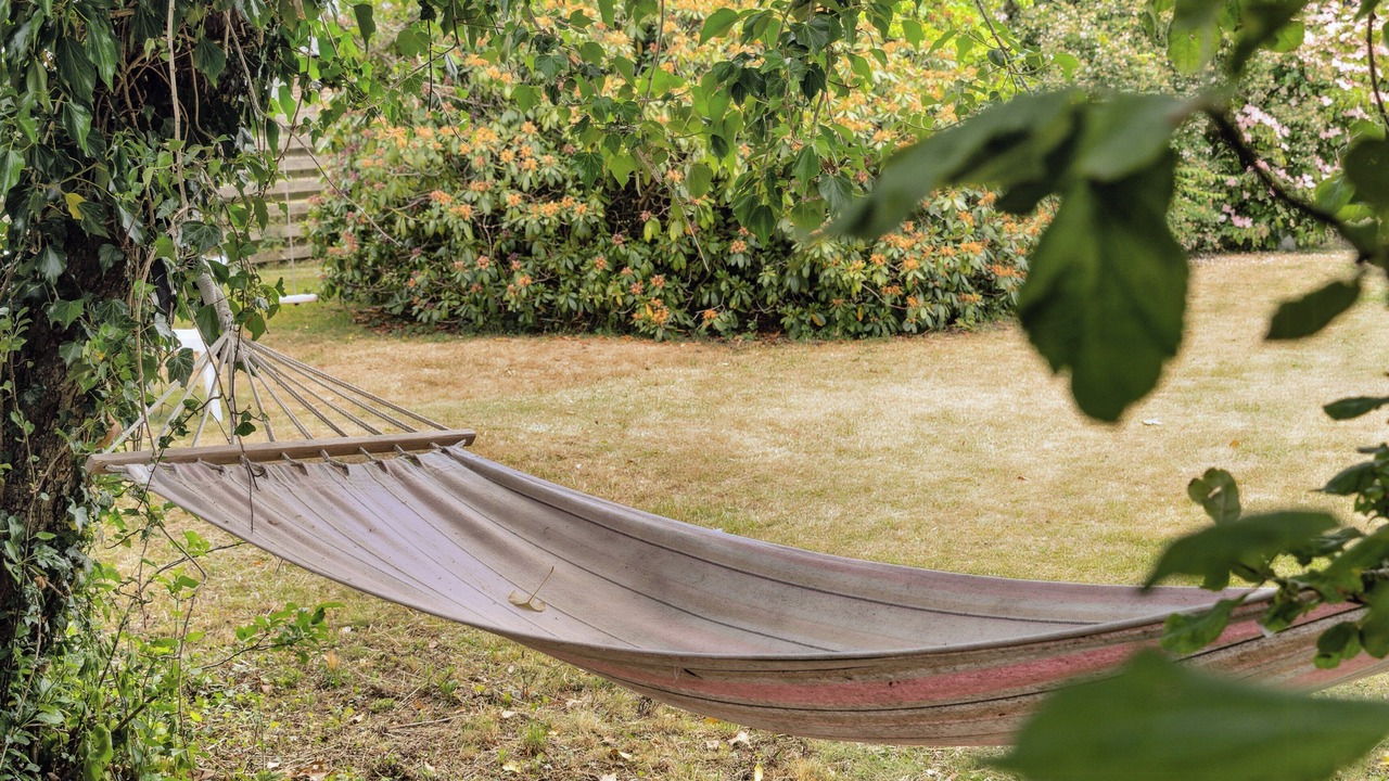 Photo of Outdoor in Nykobing Mors