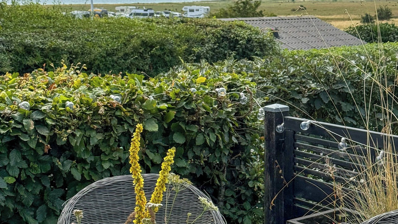 Photo of Outdoor in Flovt Strand