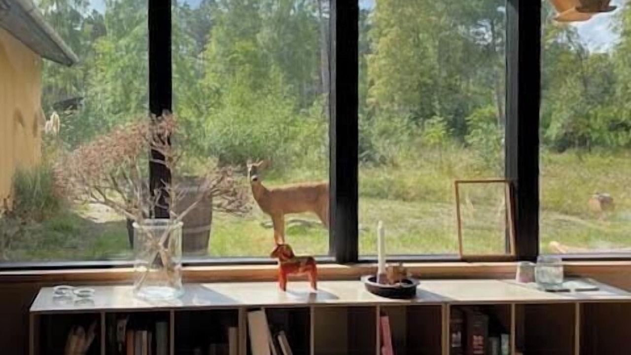 Photo of Others in Store Fuglede