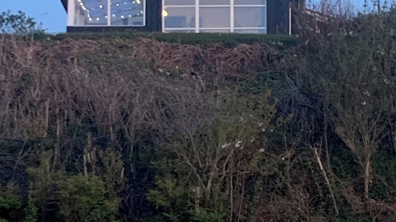 Photo of Outdoor in Allingabro
