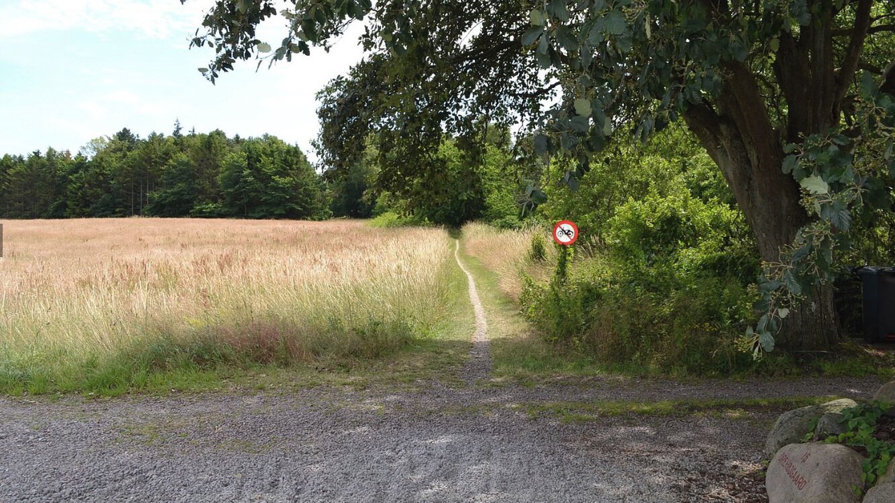 Photo of Outdoor in Melby
