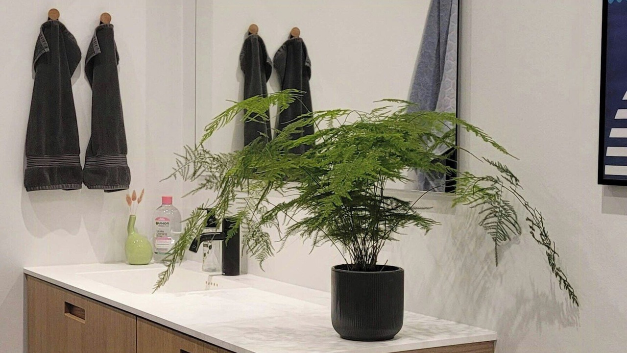 Photo of Bathroom in Ry