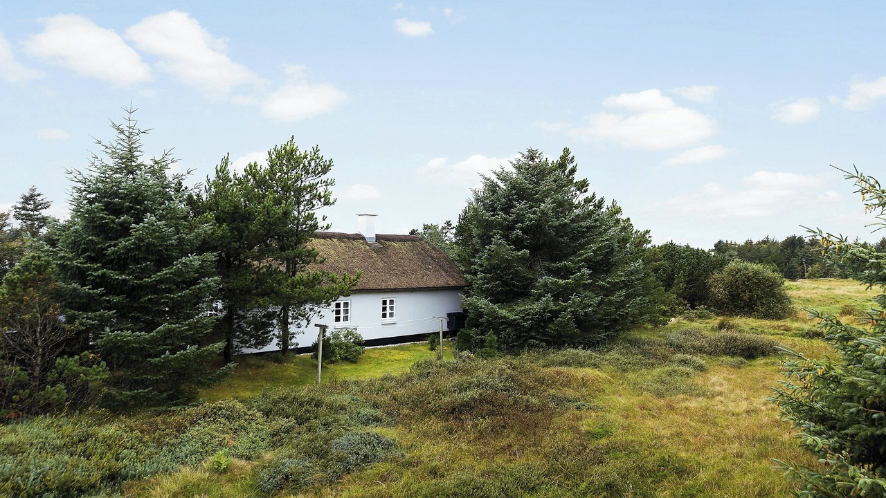 Photo of Outdoor in Vorupør