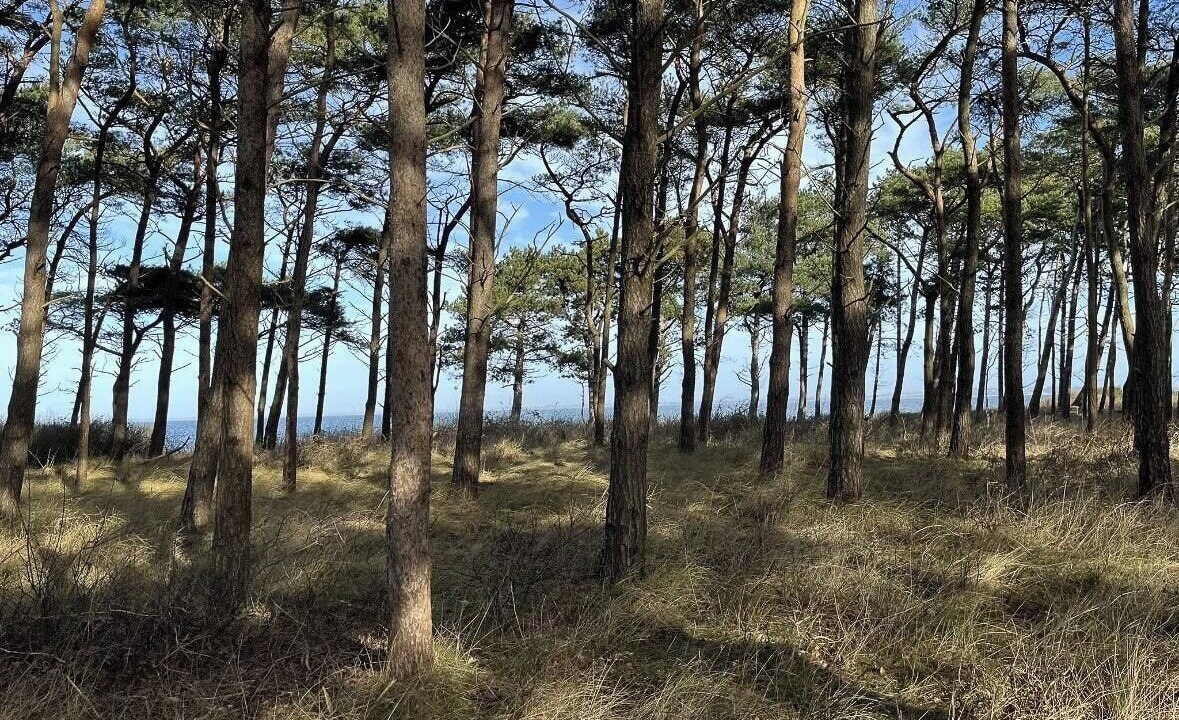 Photo of Others in Reersø