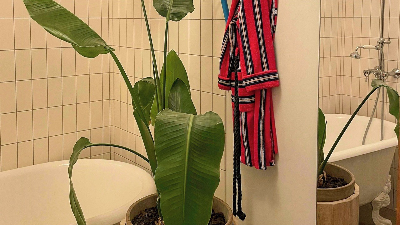 Photo of Bathroom in Valby