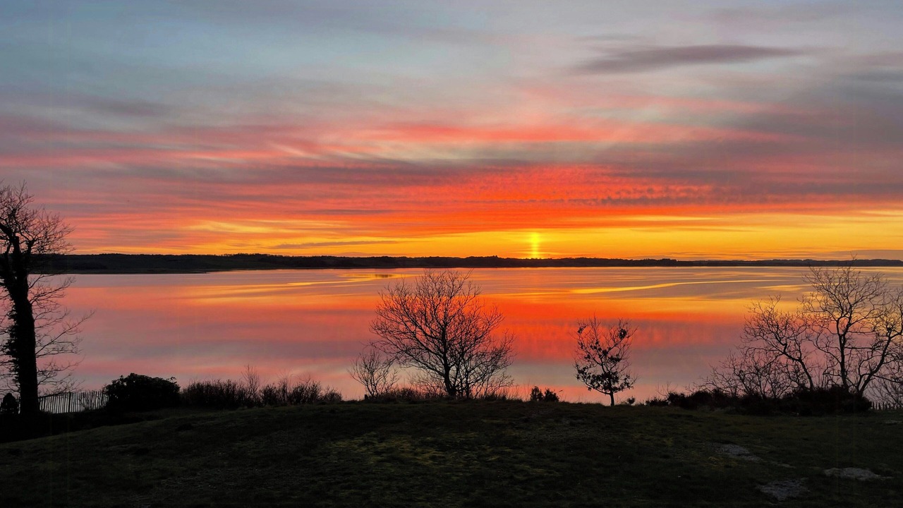 Photo of Others in Hjarbæk