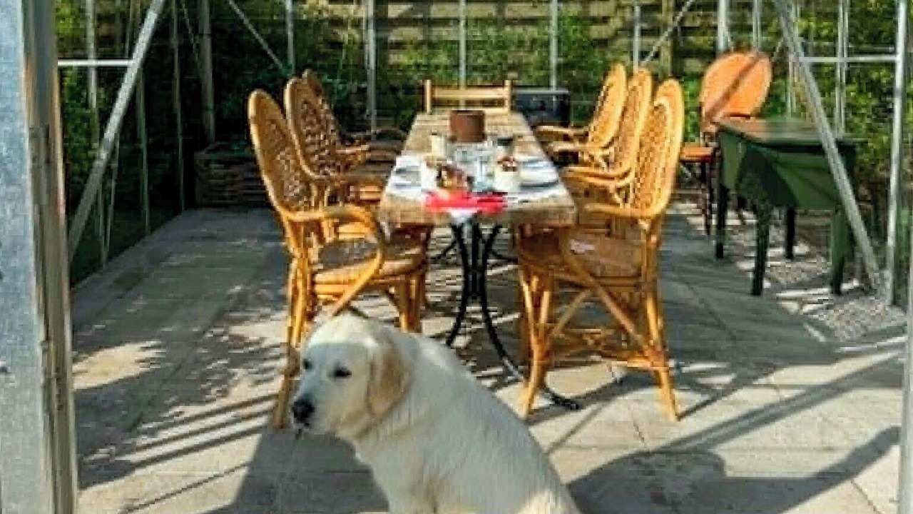 Photo of Outdoor in Hoeve Strand