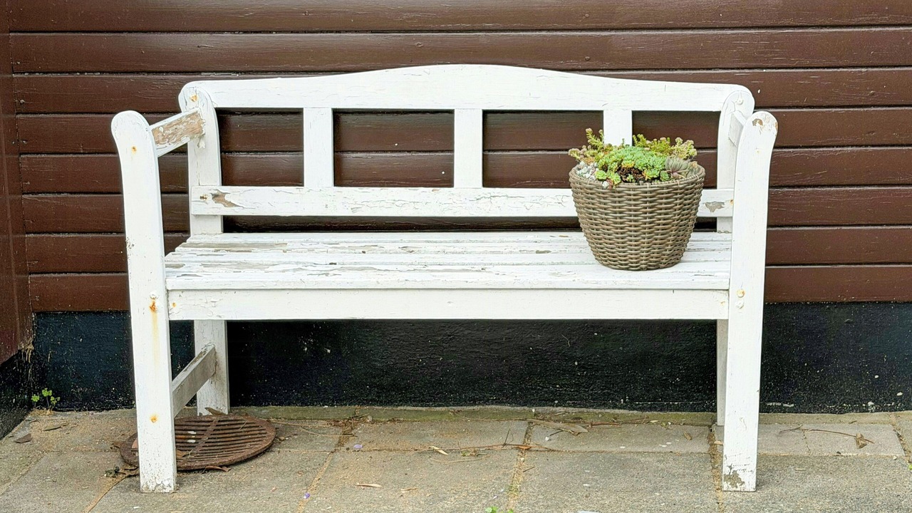 Photo of Outdoor in Hoeve Strand