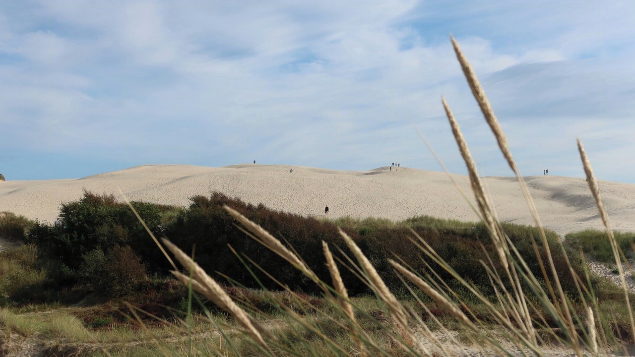 Photo of Others in Kandestederne