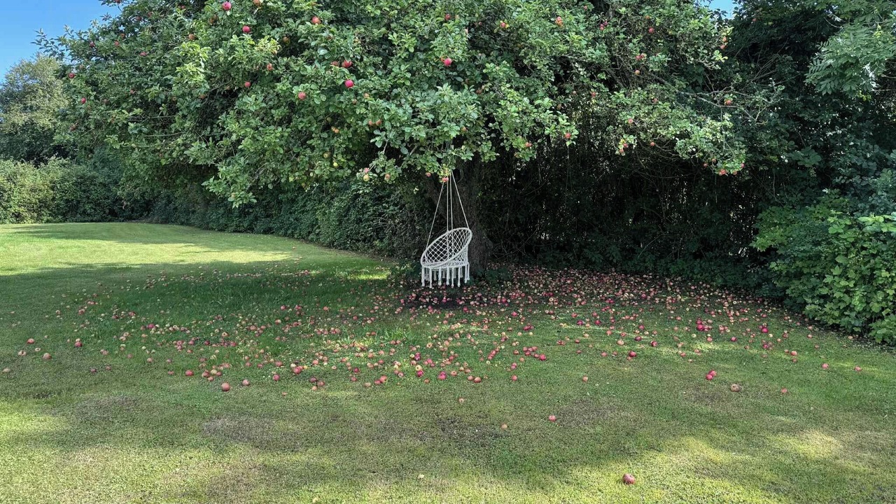 Photo of Outdoor in Nykobing Falster