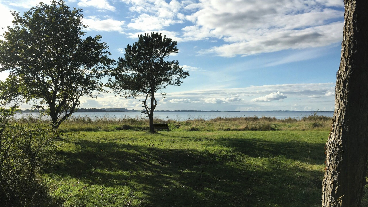 Photo of Others in Or