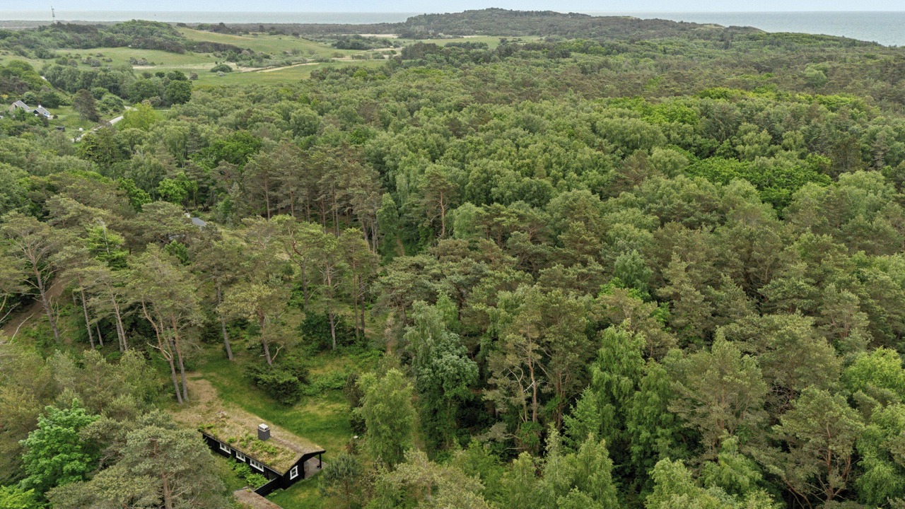 Photo of Outdoor in Anholt